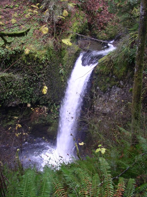 Waukeena Mult Falls 11.26.05 068 